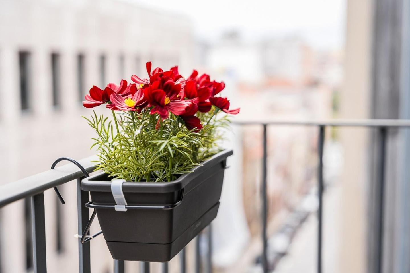 Apartment Guestready - Tranquility In Downtown Porto
